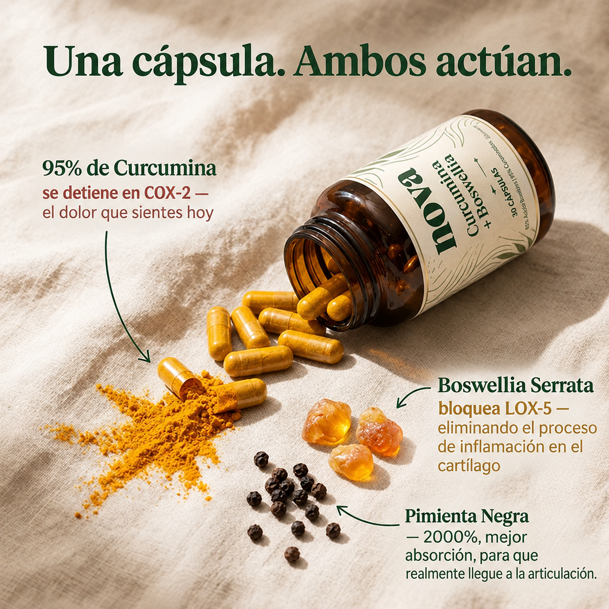 ¡Eliminá el dolor articular! | Curcumin + Boswellia NOVA™