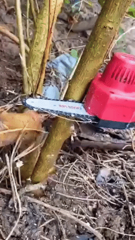 MOTOSIERRA DE MANO INALÁMBRICA