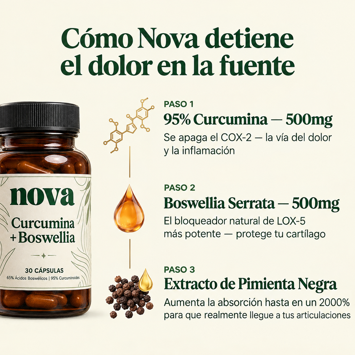 ¡Eliminá el dolor articular! | Curcumin + Boswellia NOVA™