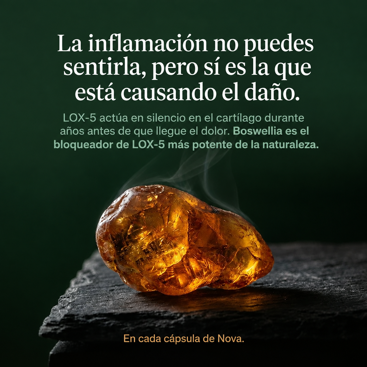 ¡Eliminá el dolor articular! | Curcumin + Boswellia NOVA™