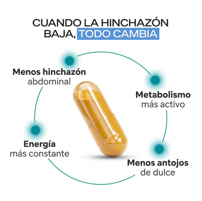 Berberine Plus | Maximum Metabolic Control and Weight Loss