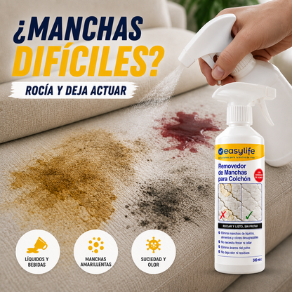 EASY LIFE | SÚPER REMOVEDOR DE MANCHAS